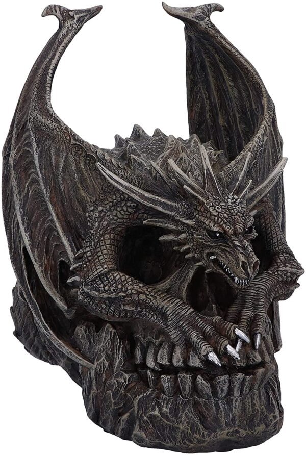 Artist Collections~ Spiral Dark Gothic Draco Skull Dragon Figurine Ornament, Brown, 19cm