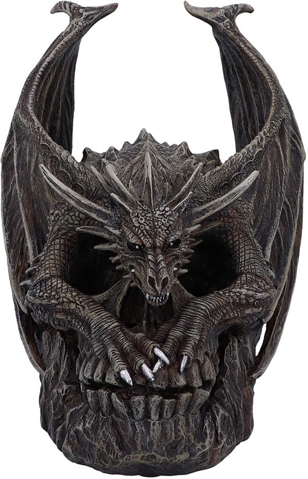 Artist Collections~ Spiral Dark Gothic Draco Skull Dragon Figurine Ornament, Brown, 19cm