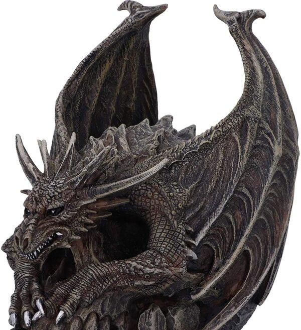 Artist Collections~ Spiral Dark Gothic Draco Skull Dragon Figurine Ornament, Brown, 19cm