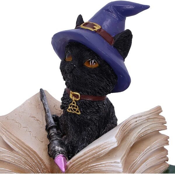 Wiccan Collection~Binx Small Witches Familiar Black Cat and Spellbook Figurine Box, Green, 11cm