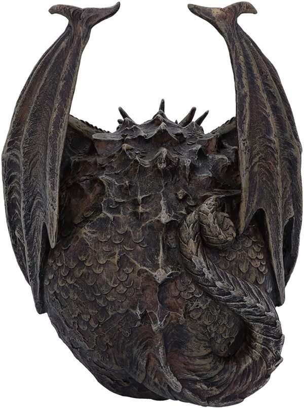 Artist Collections~ Spiral Dark Gothic Draco Skull Dragon Figurine Ornament, Brown, 19cm