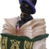 Wiccan Collection~Binx Small Witches Familiar Black Cat and Spellbook Figurine Box, Green, 11cm