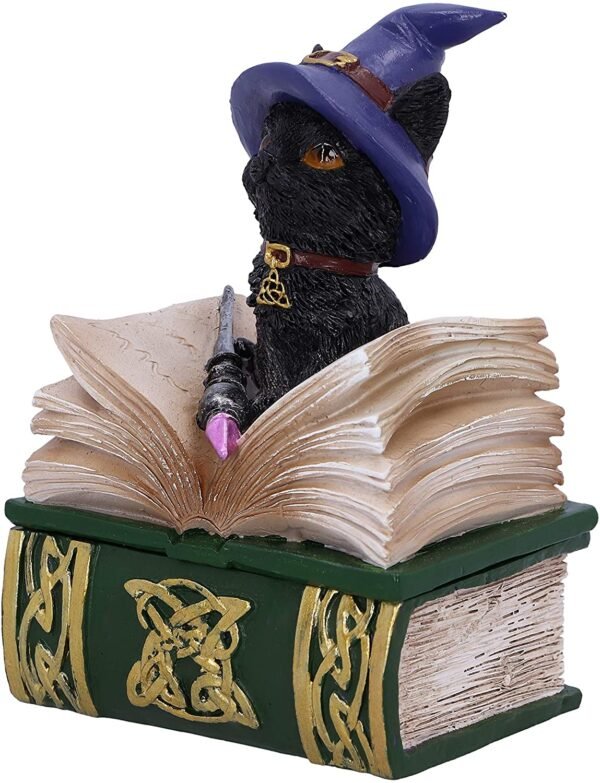 Wiccan Collection~Binx Small Witches Familiar Black Cat and Spellbook Figurine Box, Green, 11cm
