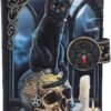 Magicun N.Giftware~Black Lisa Parker Spirits of Salem Cat Skull Map Embossed Purse, 18.5cm