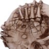 Magicun N.Giftware~Officially Licensed James Ryman Breaking Out Skull Skeleton Ornament, 20cm, Natural