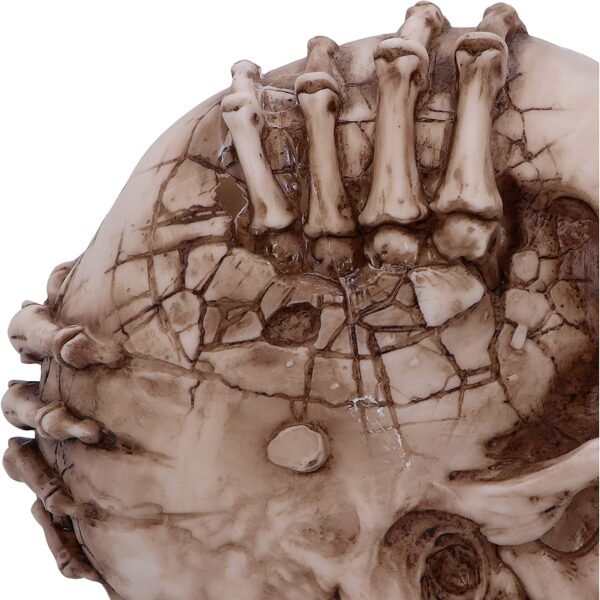 Artist Collections~ Officially Licensed James Ryman Breaking Out Skull Skeleton Ornament, Natural, 20cm