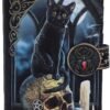 Magicun N.Giftware~Black Lisa Parker Spirits of Salem Cat Skull Map Embossed Purse, 18.5cm