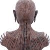 Band Merchandise~ Officially Licensed Iron Maiden Book of Souls Eddie Bust Box, Brown, 26cm