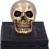 Dark Collection~Celtic Opulence Golden Skull Black Trinket Box, 11.8cm