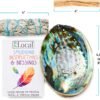 Witchcraft~Origins Smudging Kit - White Sage Smudge Stick + Palo Santo + Abalone Shell Bowl | Sustainably Sourced Healing Incense for Home Cleansing, Protection, Meditation, Positive Energy