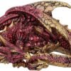 Fantasy Collection~ Aaden Red and Golden Resting Dragon Figurine, 10.2cm