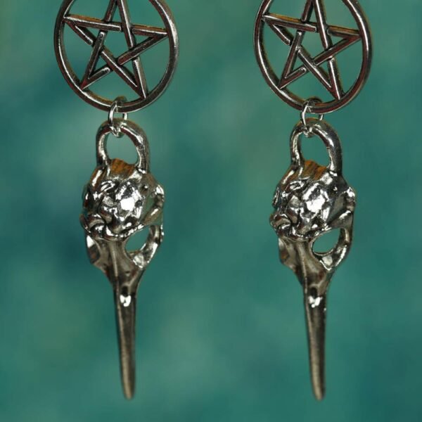 Bird Skull Earrings Witch Jewelry Gothic Earrings Pentagram Crow Skull Gothic Pagan Earrings Gift Wiccan