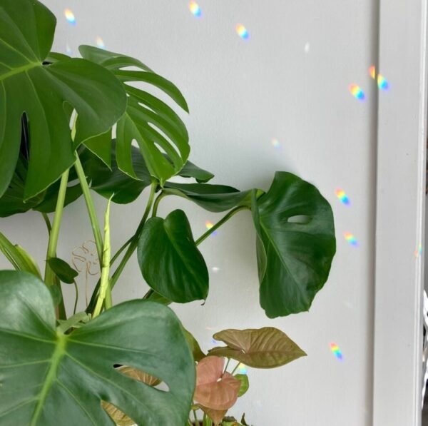 Bubble drop crystal Sunscreen 6 crystals Rainbow machine  Housewarming Gift