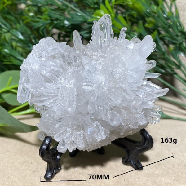 Chrysanthemum Stone Natural Crystal Healing Geode Specimen Mineral Rew Reiki Wicca Meditation Living Home Decorative Room