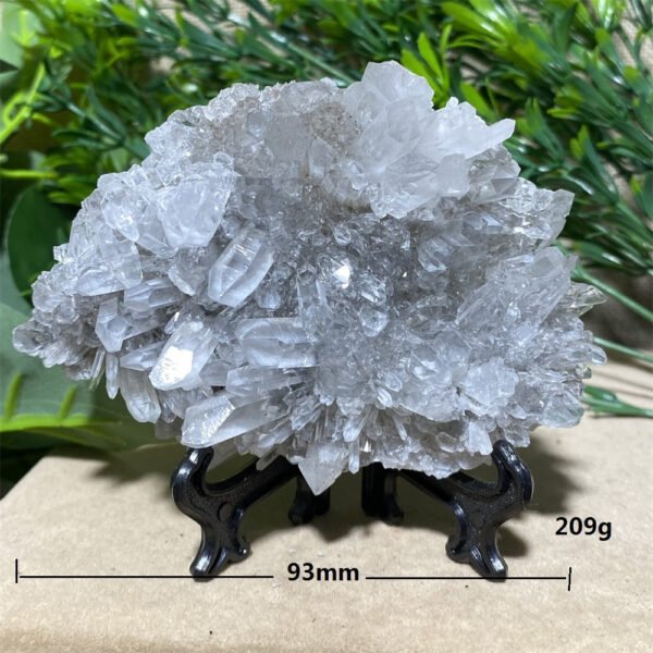 Chrysanthemum Stone Natural Crystal Healing Geode Specimen Mineral Rew Reiki Wicca Meditation Living Home Decorative Room