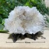Chrysanthemum Stone Natural Crystal Healing Geode Specimen Mineral Rew Reiki Wicca Meditation Living Home Decorative Room