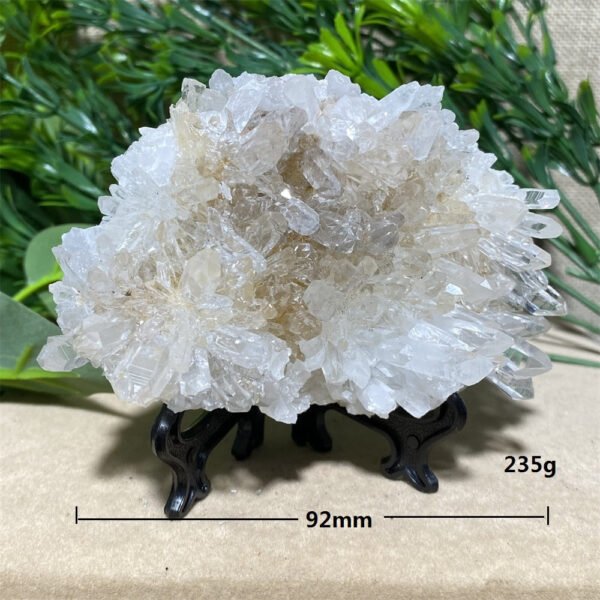 Chrysanthemum Stone Natural Crystal Healing Geode Specimen Mineral Rew Reiki Wicca Meditation Living Home Decorative Room