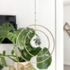 Double Brass Hoop Crystal Sun Catcher Rainbow Maker Window Hanging