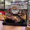 Double Feng Shui Mythical Beast Pixiu Statue Resin Carfts Crystal Ball Display Stand Base Home Office Mascot Good Luck Ornaments