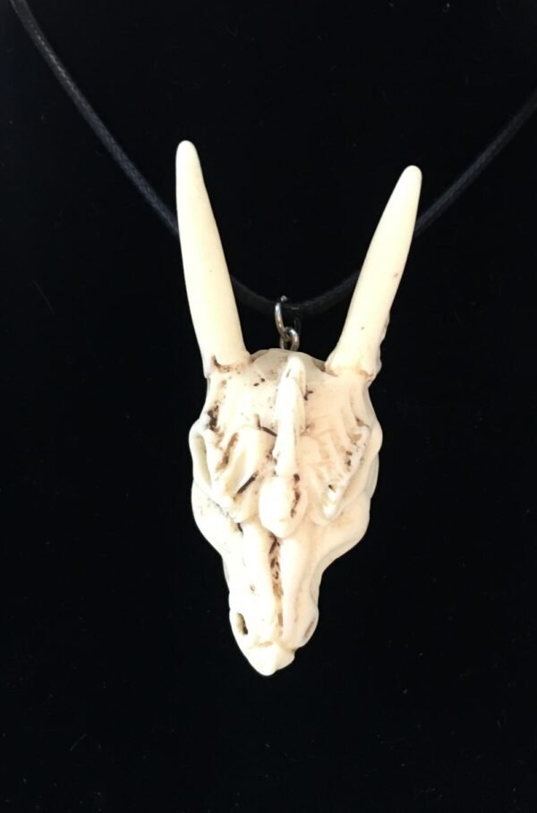 Dragon Skull Necklace- Resin Replica Hand Carved-gothic Steampunk