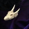 Dragon Skull Necklace- Resin Replica Hand Carved-gothic Steampunk