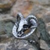 Magic Ring~ new style 316L Stainless steel skull goat viking ring