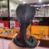 Fortune Snake Lucky Mascot Resin Cobra Statue Living Room Wine Cabinet Decoration Crystal Ball Display Stand Crafts Ornaments