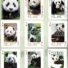 54pcs/set Panda playing cards set collection novelty poker deck   Game related