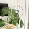 Green Aventurine Crystal Suncatcher, Crystal Point Rainbow Maker, window hanging Wall hanging garden decoration ，Self Care Gift  Wall Decor