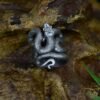 Mystical Gothic Snake Open Adjustable Ring Pagan Witch Serpent Ring Spirit Occult Jewelry