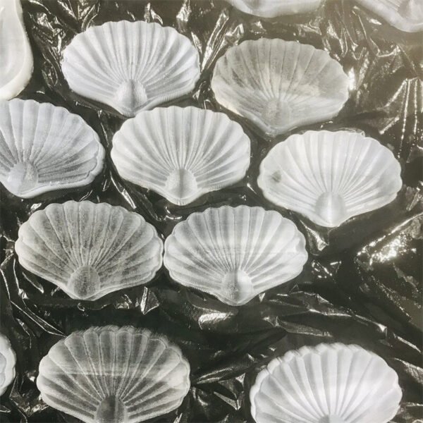 Gypsum Wedding Seashell Figurine | Gypsum Selenite Seashell Bowl - Natural White