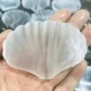 Gypsum Wedding Seashell Figurine | Gypsum Selenite Seashell Bowl - Natural White