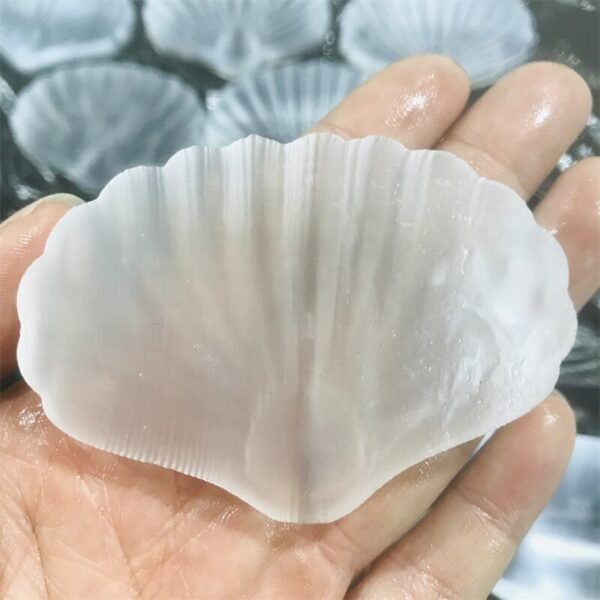 Gypsum Wedding Seashell Figurine | Gypsum Selenite Seashell Bowl - Natural White