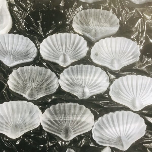 Gypsum Wedding Seashell Figurine | Gypsum Selenite Seashell Bowl - Natural White