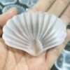 Gypsum Wedding Seashell Figurine | Gypsum Selenite Seashell Bowl - Natural White