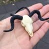 Ram Skull Pendant Necklace 3D Printed,Occult Baphomet Wicca Evil Goat Skull Necklace- Horned Devil Punk Gothic