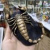 Realistic Scorpion Statue Resin Crafts Crystal Ball Base Sphere Holder Desk Decoration Home Ornament for 3-5cm Sphere
