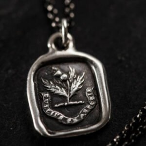 Sweeter after difficulties Thistle necklace jewelry  Dulcius ex asperis  Scottish Thistle Jewelry Gift  15*18mm