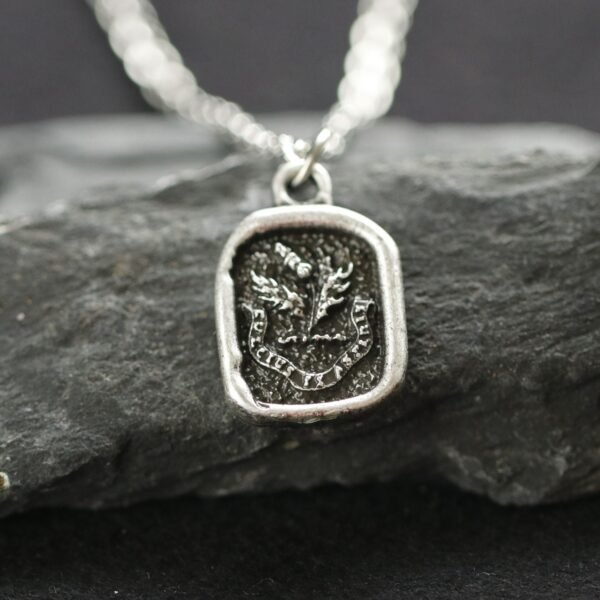 Sweeter after difficulties Thistle necklace jewelry  Dulcius ex asperis  Scottish Thistle Jewelry Gift  15*18mm