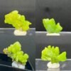 Magicun Crystal~Teaching specimens Pyromorphite natural mineral crystal stone ornamental stone collection