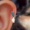 Tiny Leaf Cartilage Earring Body Piercing Helix Ring