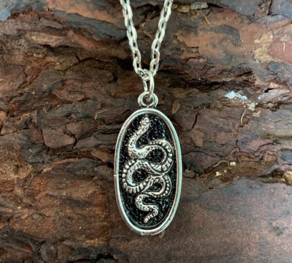 Vintage Pendant Skull Necklace Snake Necklace Mushroom Necklace Lion Necklace Demon Eye Necklace Moon Bird Necklace Gothic Gift