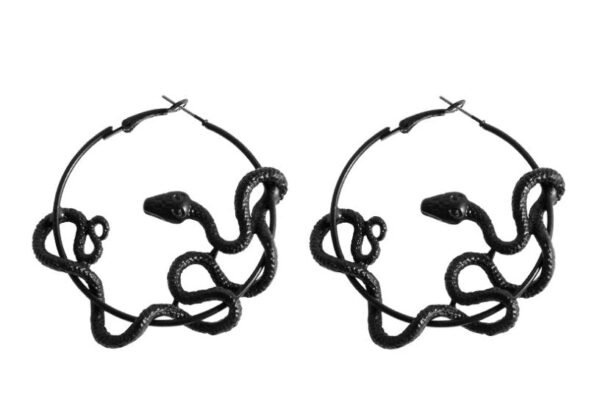 Witch Pagan Black Snake Earrings Twining Snake Hoop Earrings Gothic Jewelry For Gift