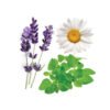 Serenity® Restful Essential Oil Blend