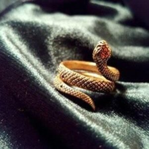 ancient-rome-snake-tribal-ring-4940825919554_b7b7b1b1-937f-496f-8039-fb990cf704a4 Ancient Rome Snake Tribal Ring