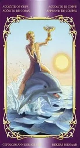 Sensual Wicca Tarot Card Deck: A Wiccan Vision of the World of Sexuality!