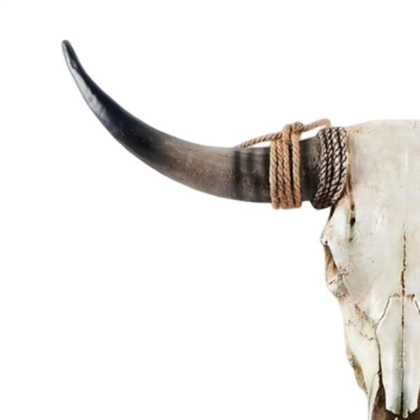 Western Home Decor: Animals Heads Wall Decor Longhorn Cow Skull