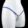 Blue Porno Lingerie Ladies Panties Accessories Low-rise Open Crotch Briefs For Sex Transparent Underwear Thongs And G strings