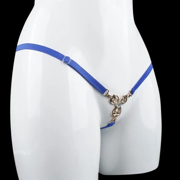 Blue Porno Lingerie Ladies Panties Accessories Low-rise Open Crotch Briefs For Sex Transparent Underwear Thongs And G strings