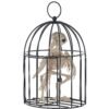 9.5" Skeleton Crow in a Cage Halloween Decoration
